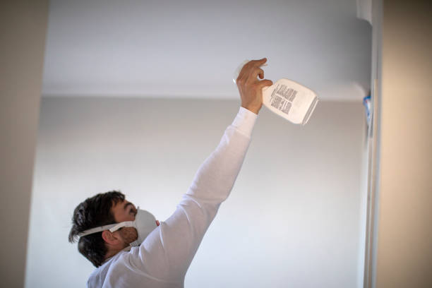 Mold Removal and Inspection in Auburn, IN